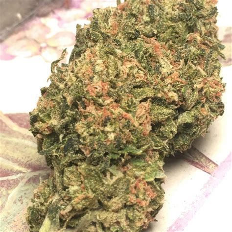 burberry weed strain|blueberry kush strain info.